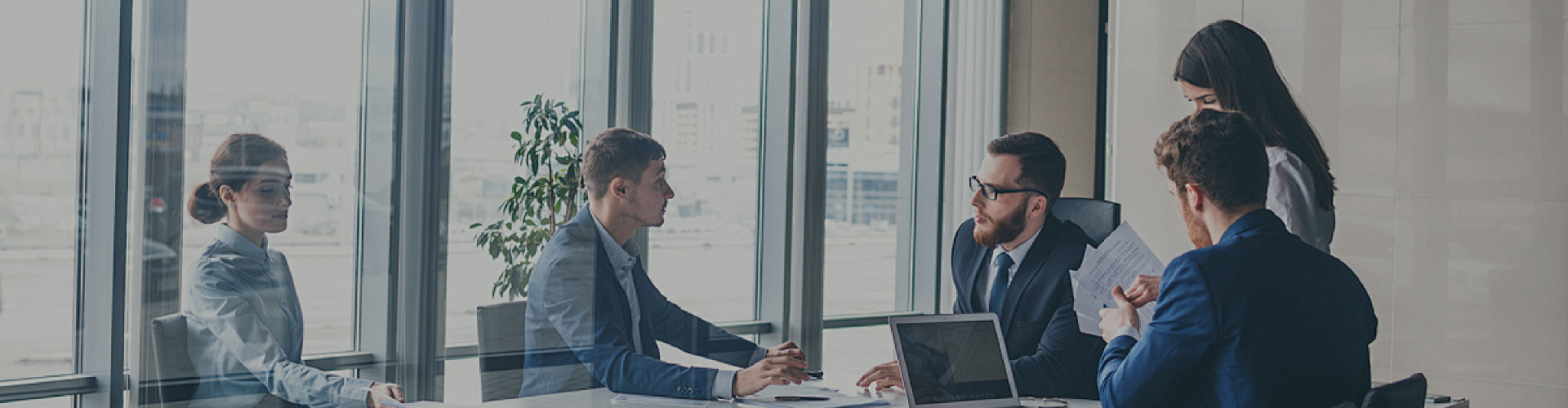 红杏入口自动跳入