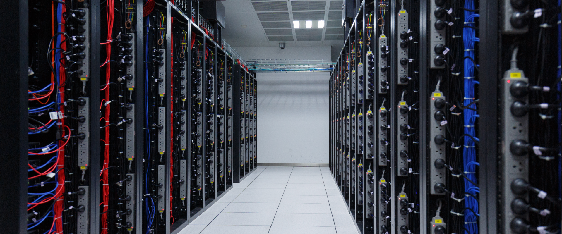 红杏入口自动跳入